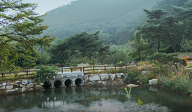 힐링쉼터