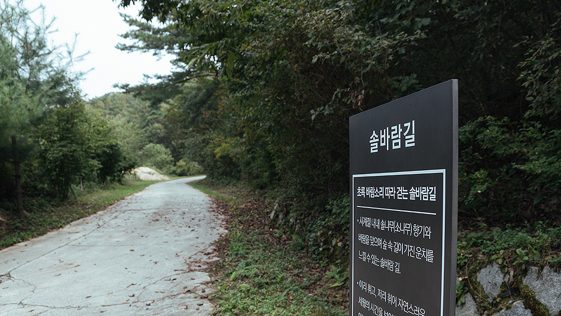 솔바람길 전경