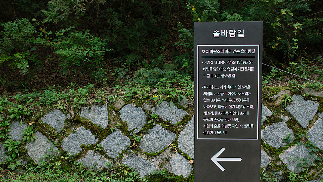 솔바람길 전경